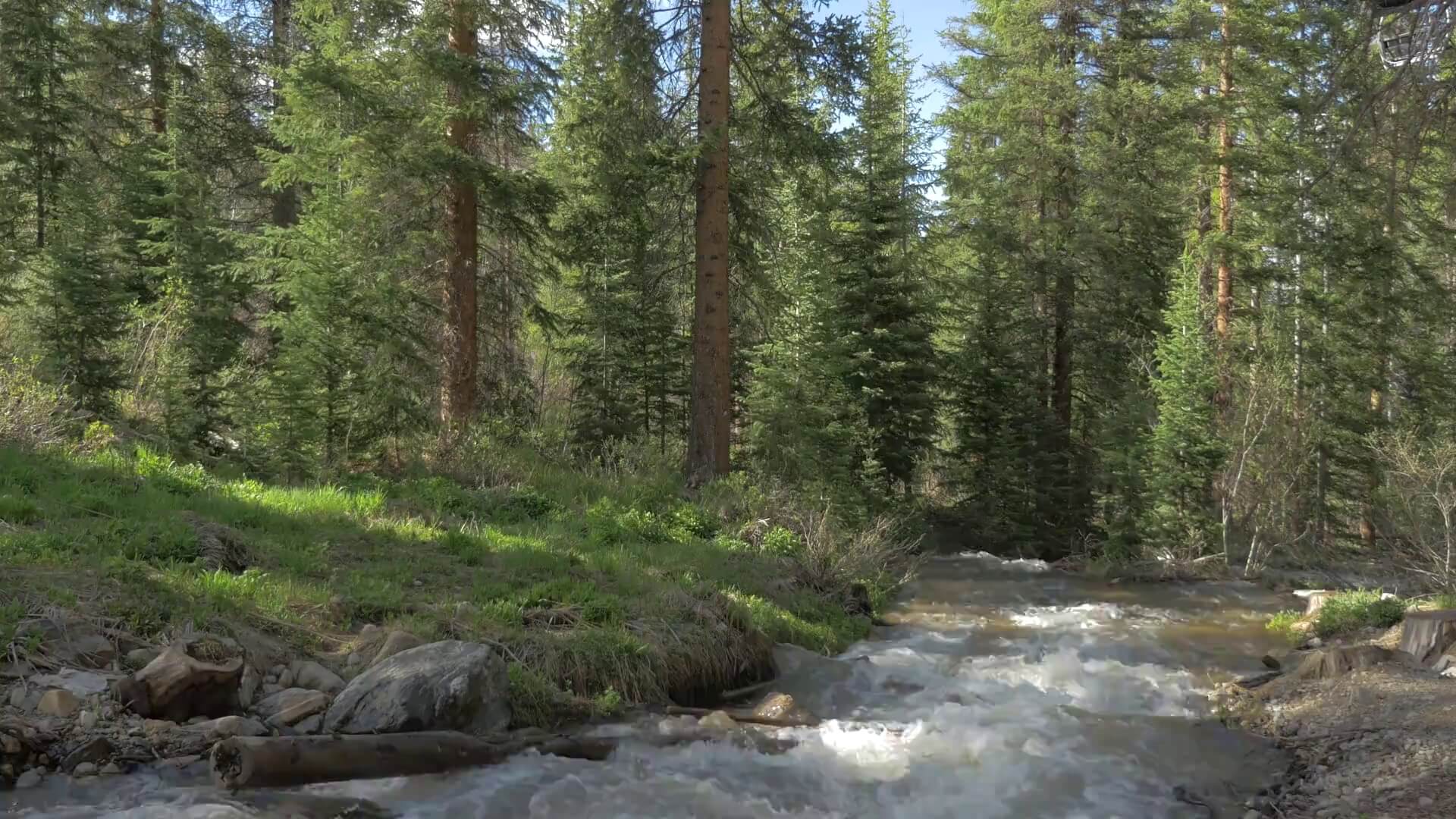 Background